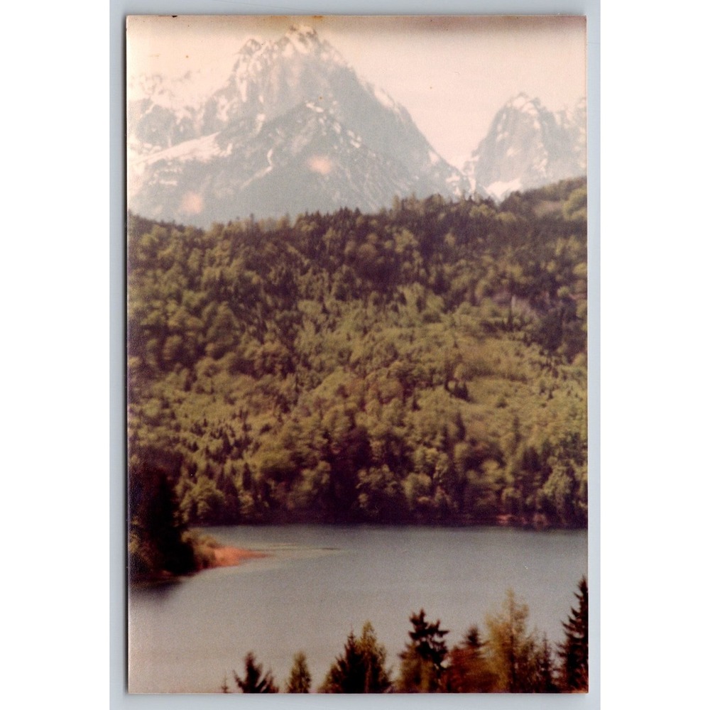 Mountains Lake Forest Vintage Snapshot Photograph Scenic Landscape View 5.25x3.5